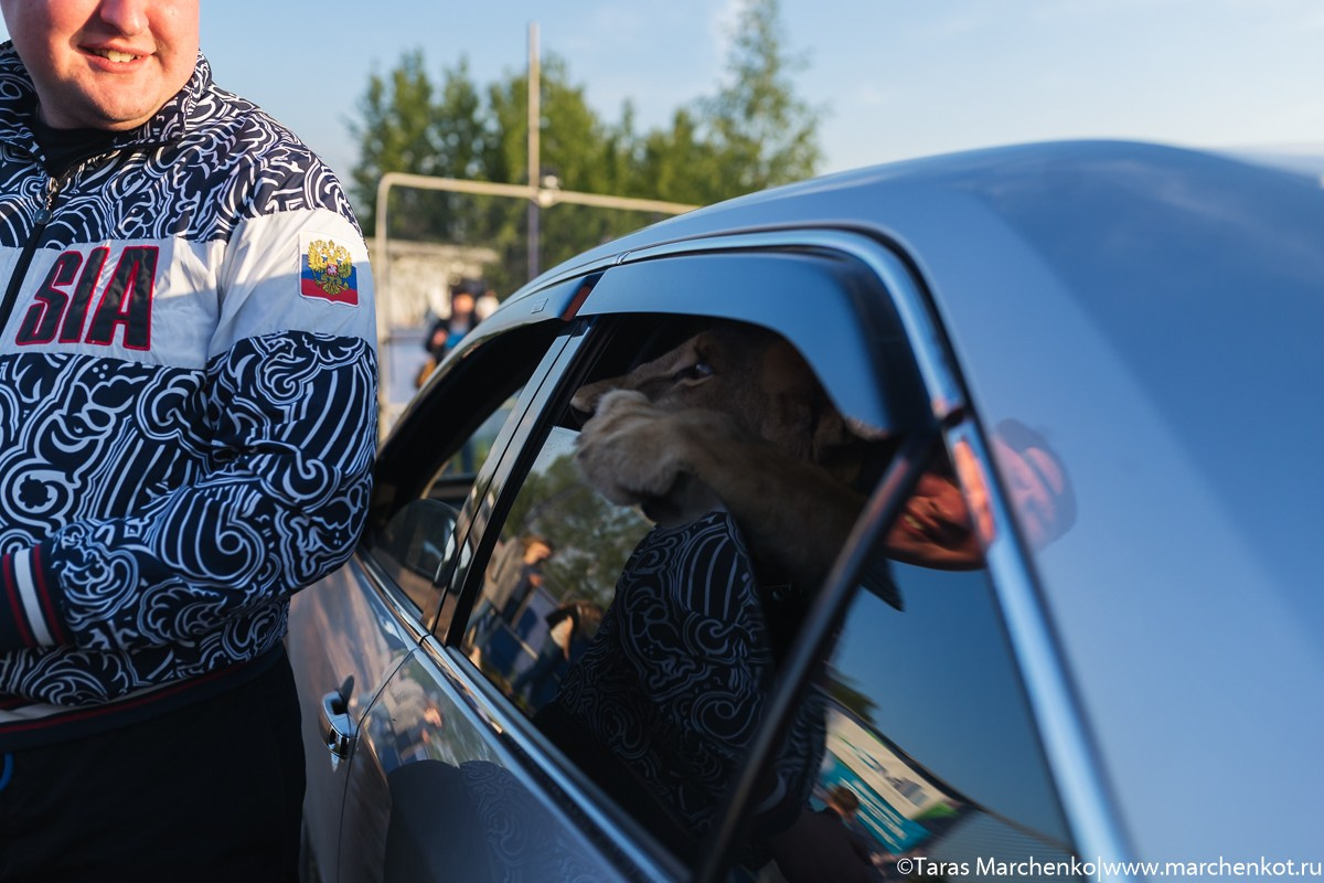 STRELKA. Репортажный и семейный фотограф в Санкт-Петербурге Тарас Марченко