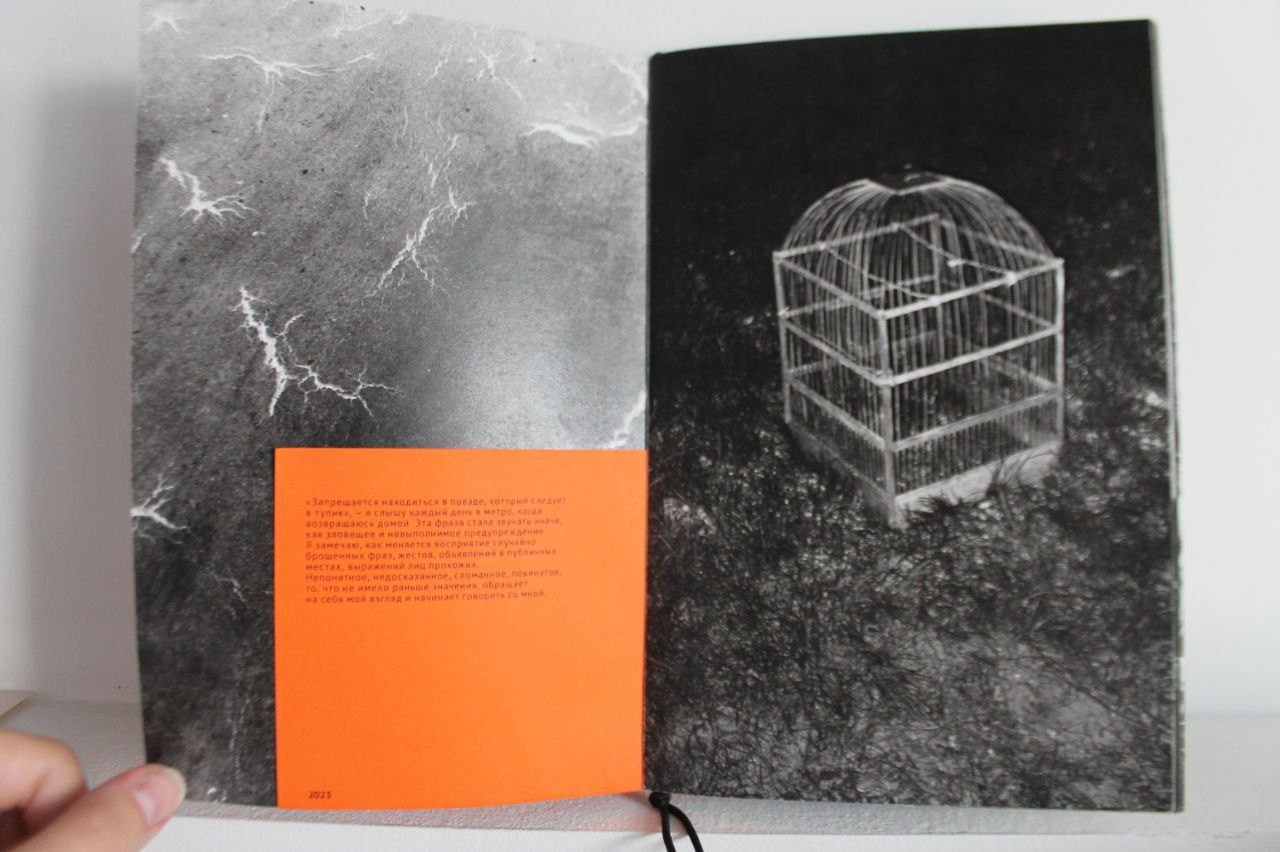 «Жердёла», зин-фестиваль, 26.07-04.08.2024, арт-пространство «Кислород», Ставрополь. Лера Круглова