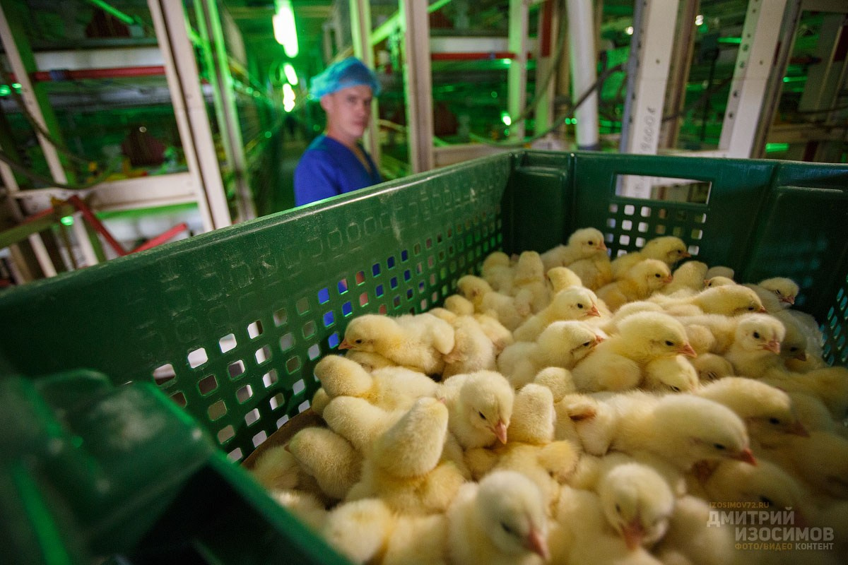 Съёмка на производстве