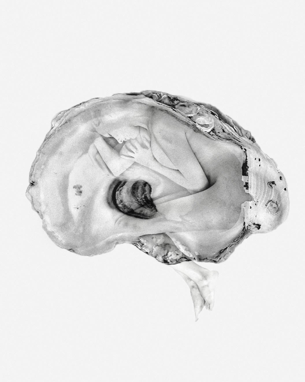 Ракушка в виде головного мозга внутри силуэт девушки психологизм