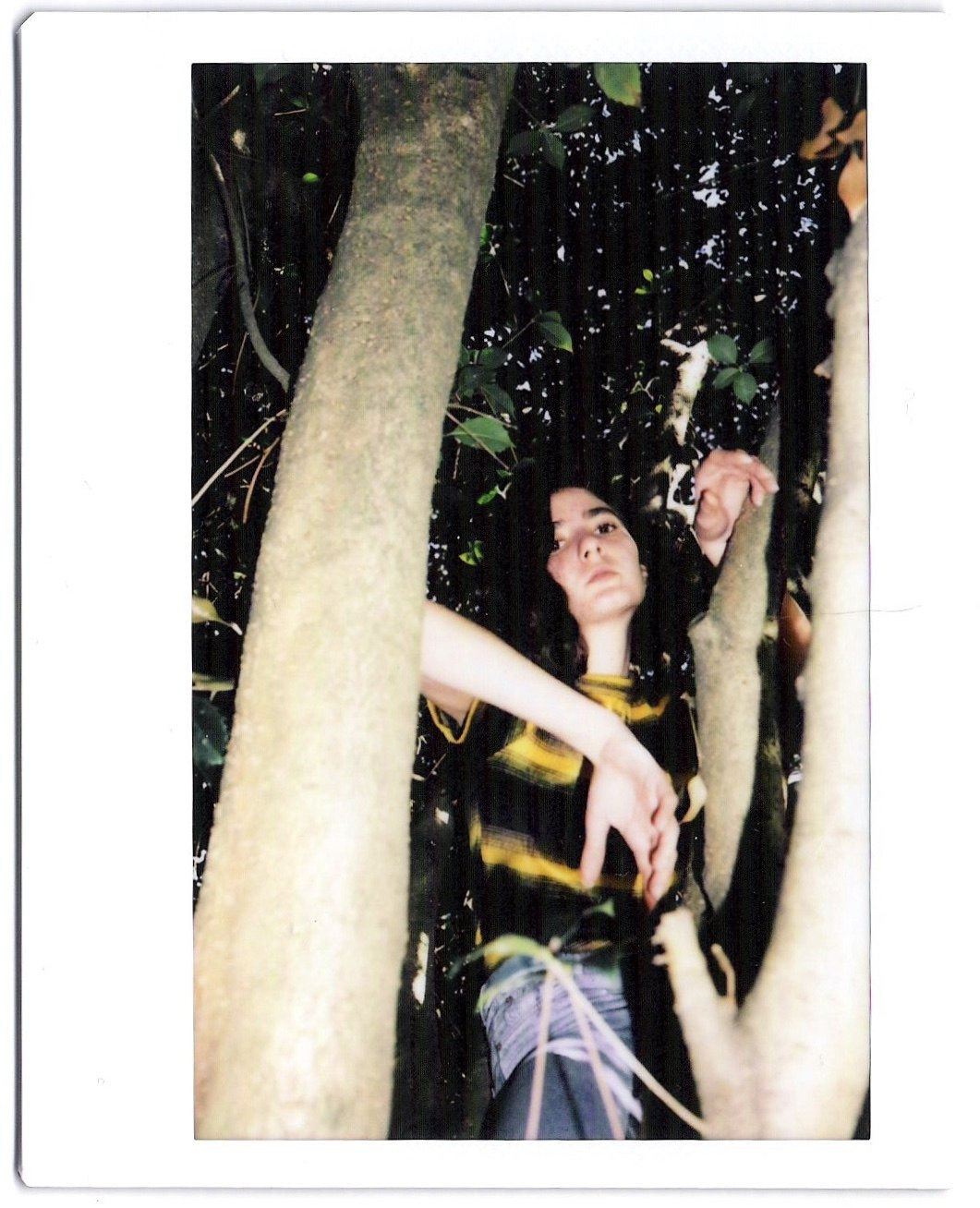 Polaroid. Carolinetru