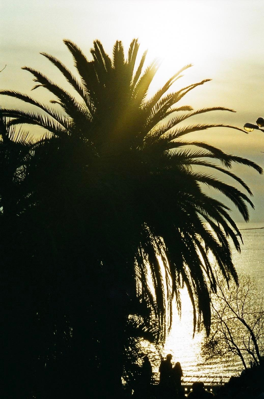 Étrangers. Carolinetru