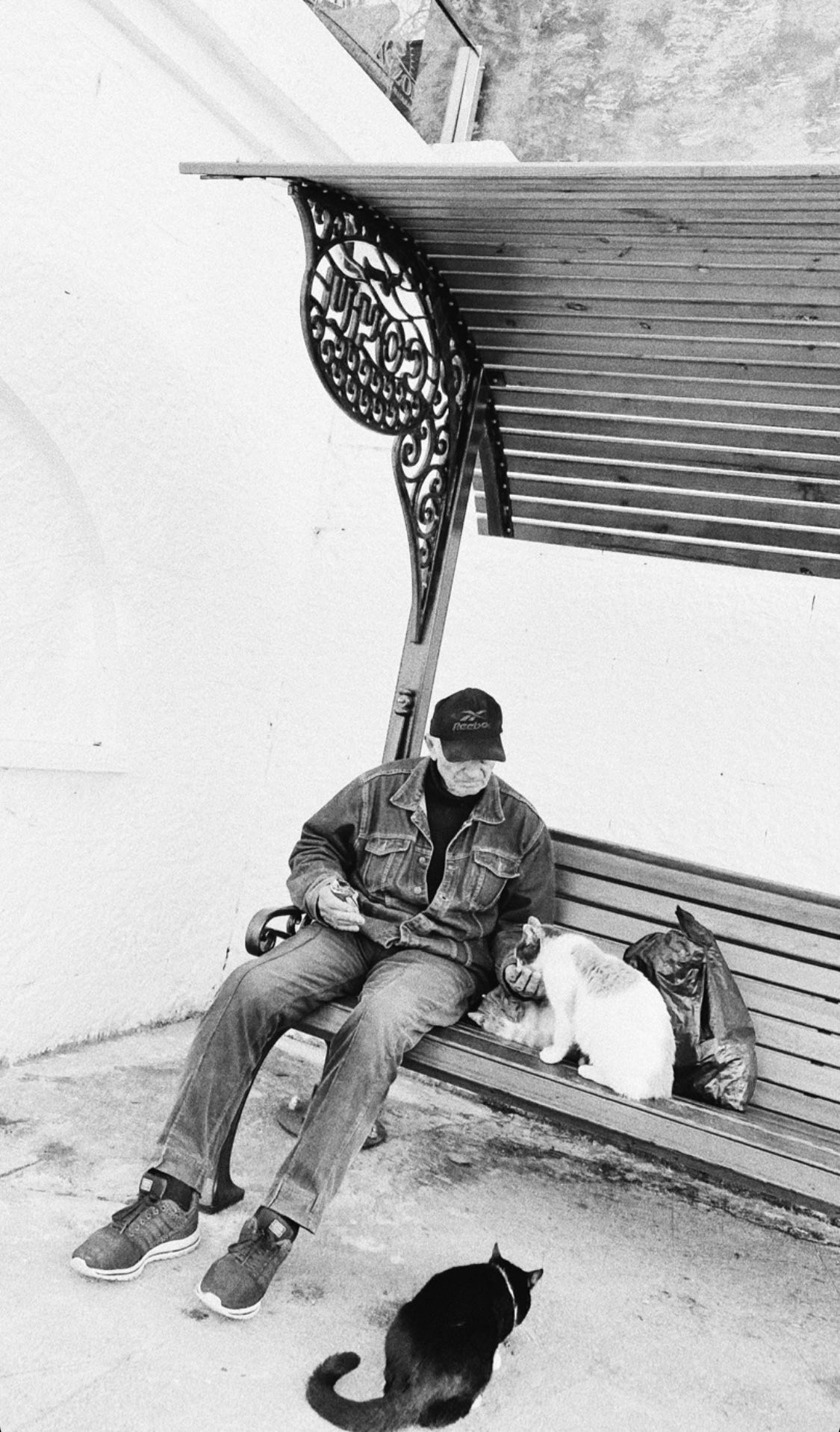 Étrangers. Carolinetru