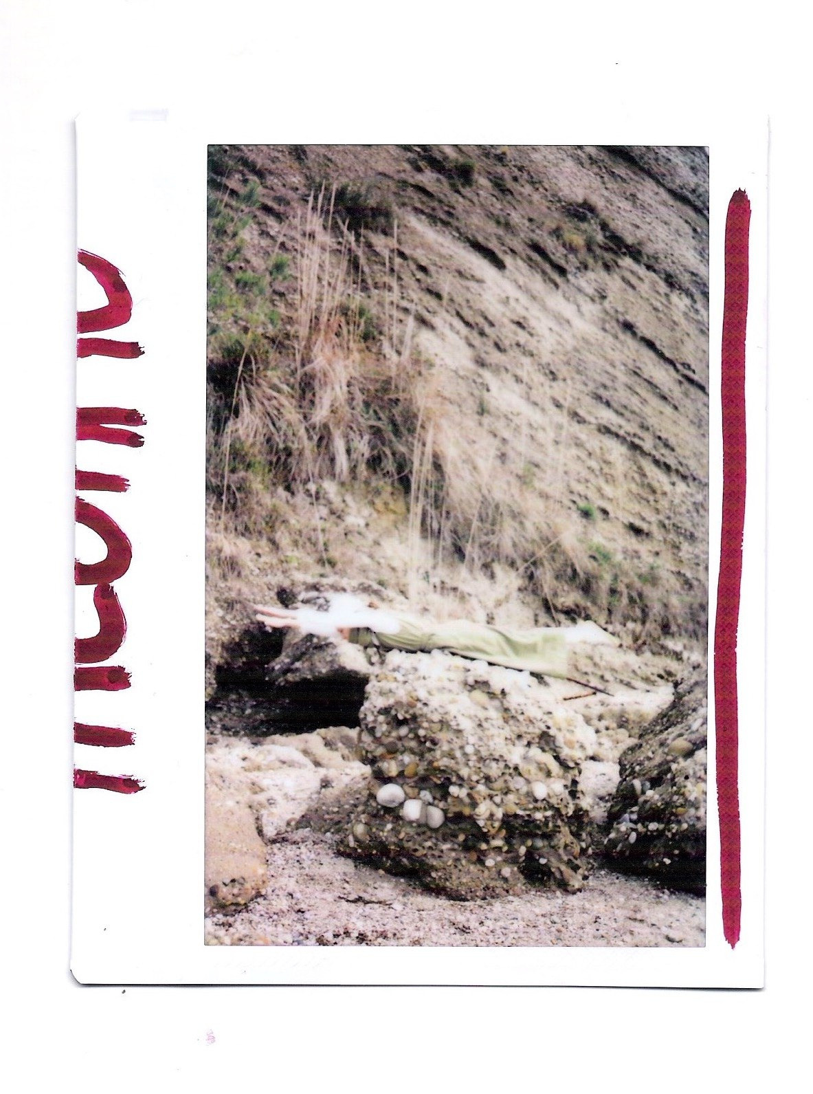 Polaroid. Carolinetru