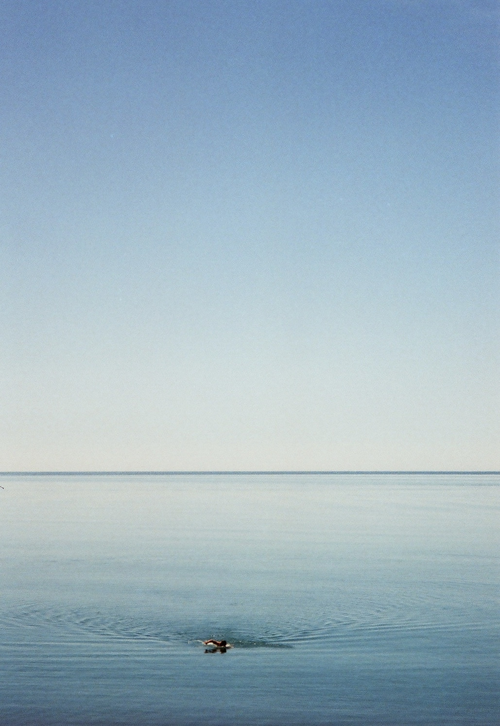 Étrangers. Carolinetru