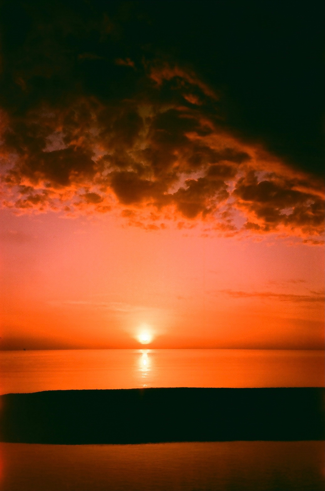 Summer'96. Carolinetru