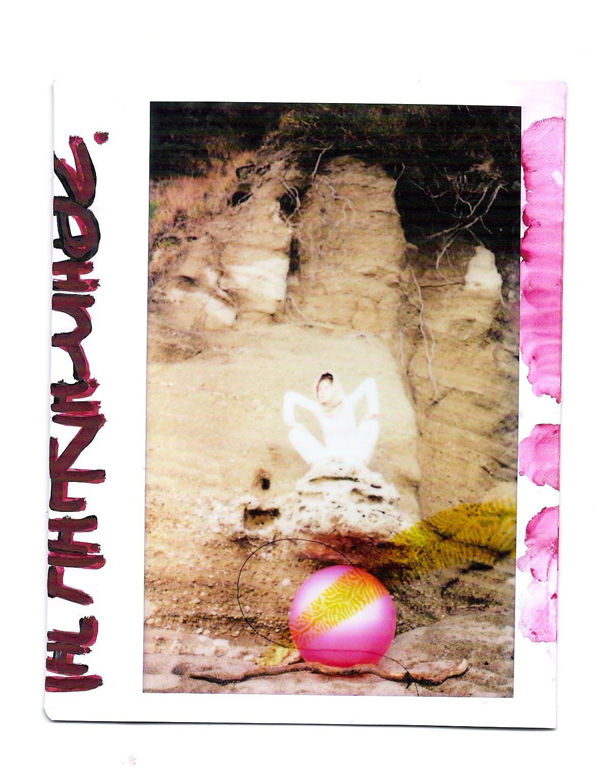 Polaroid. Carolinetru