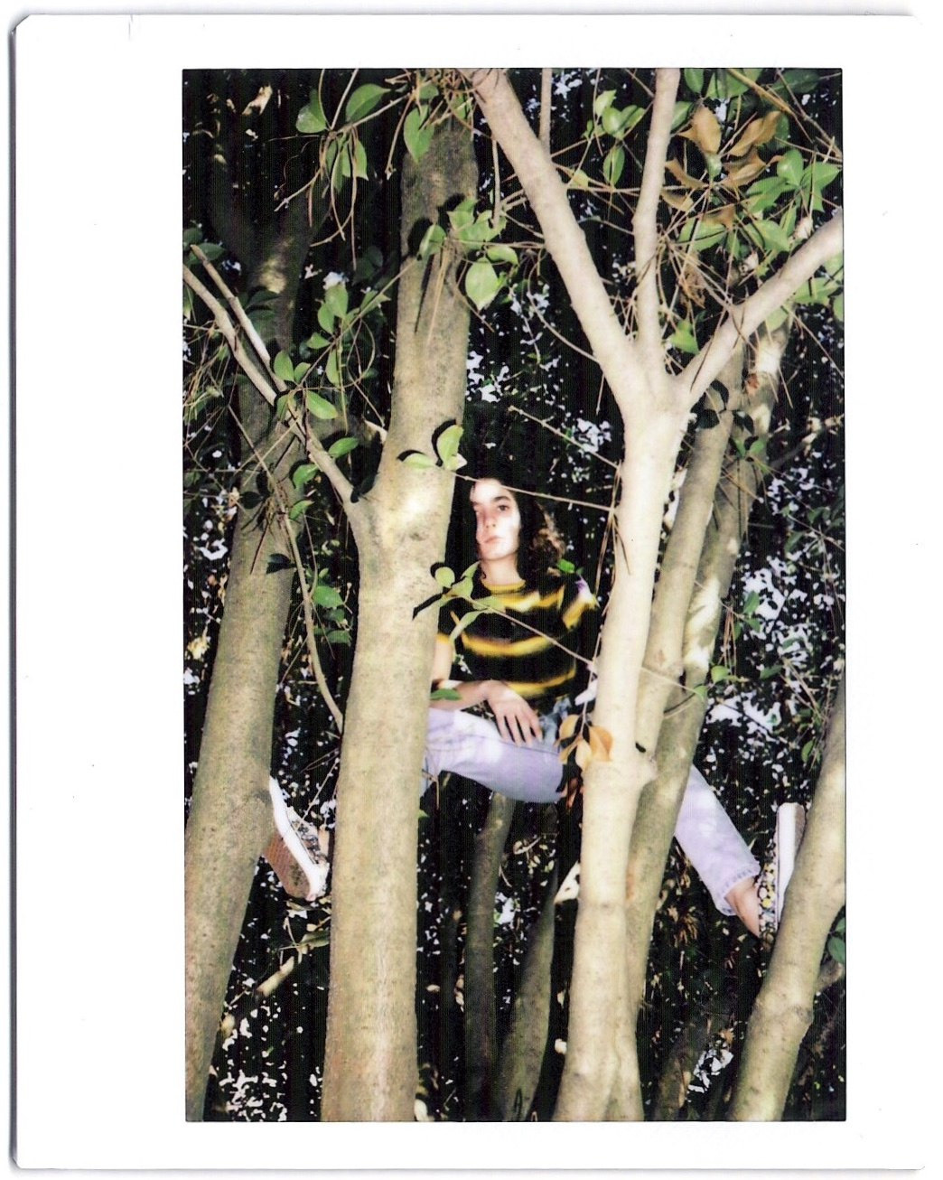 Polaroid. Carolinetru