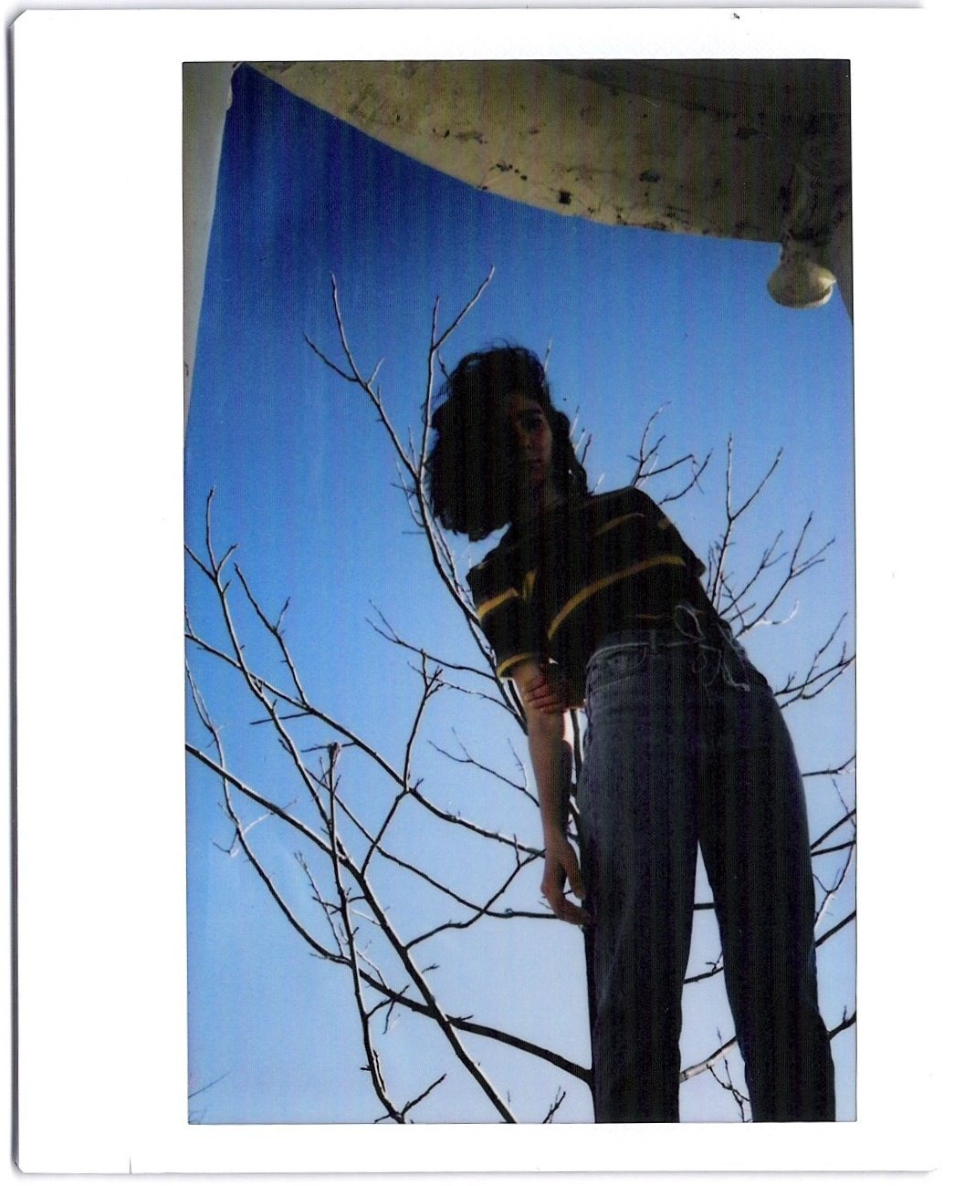 Polaroid. Carolinetru