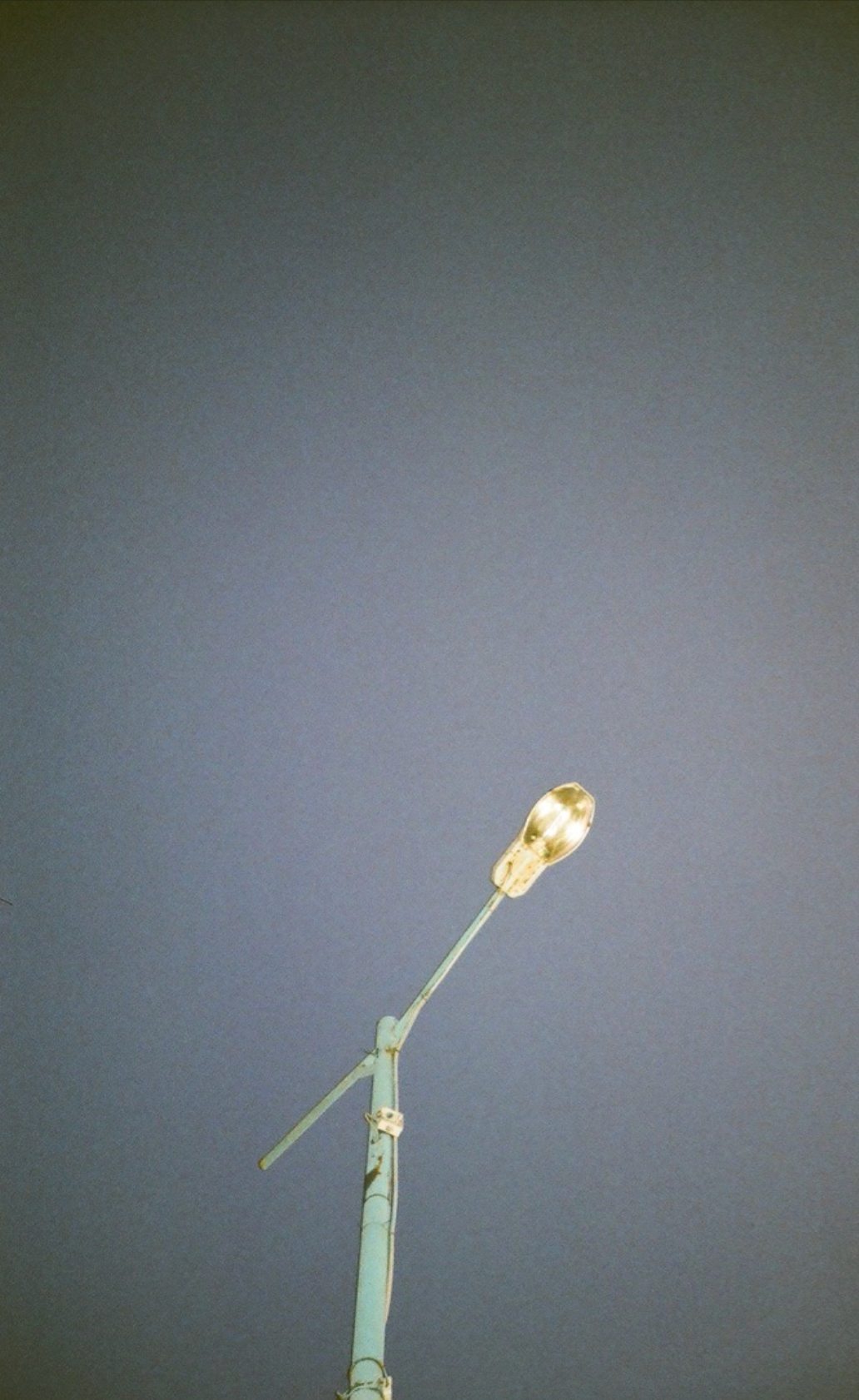 Abhazia. Carolinetru