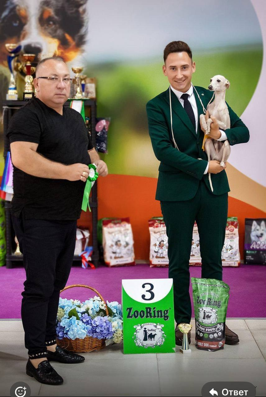 Jeremy & Jupiter. Профессиональный питомник левреток РКФ/FCI ASTI SAPPHIRE 💎 Сочи|Санкт-Петербург