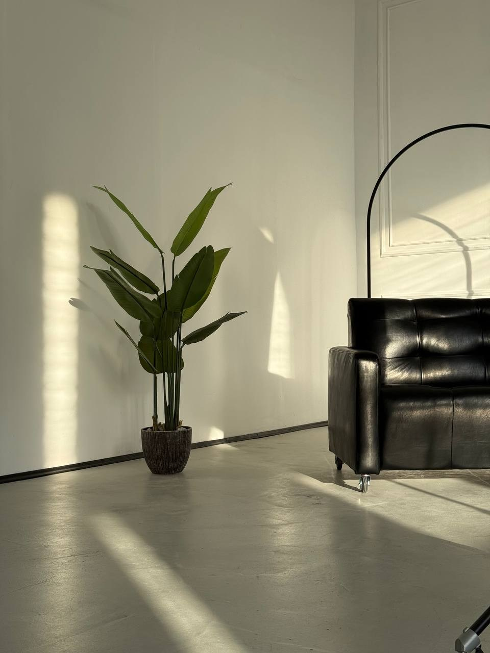 Белый зал. Фотостудия Баланс Белого Курган