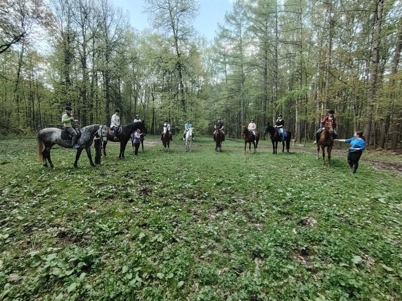 Лошадинг | 30.03.2024. Галерея Фантим