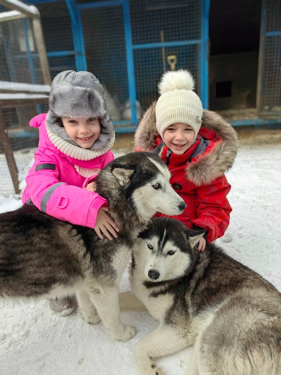 В гости к северным оленям | 02.12.2023. Галерея Фантим