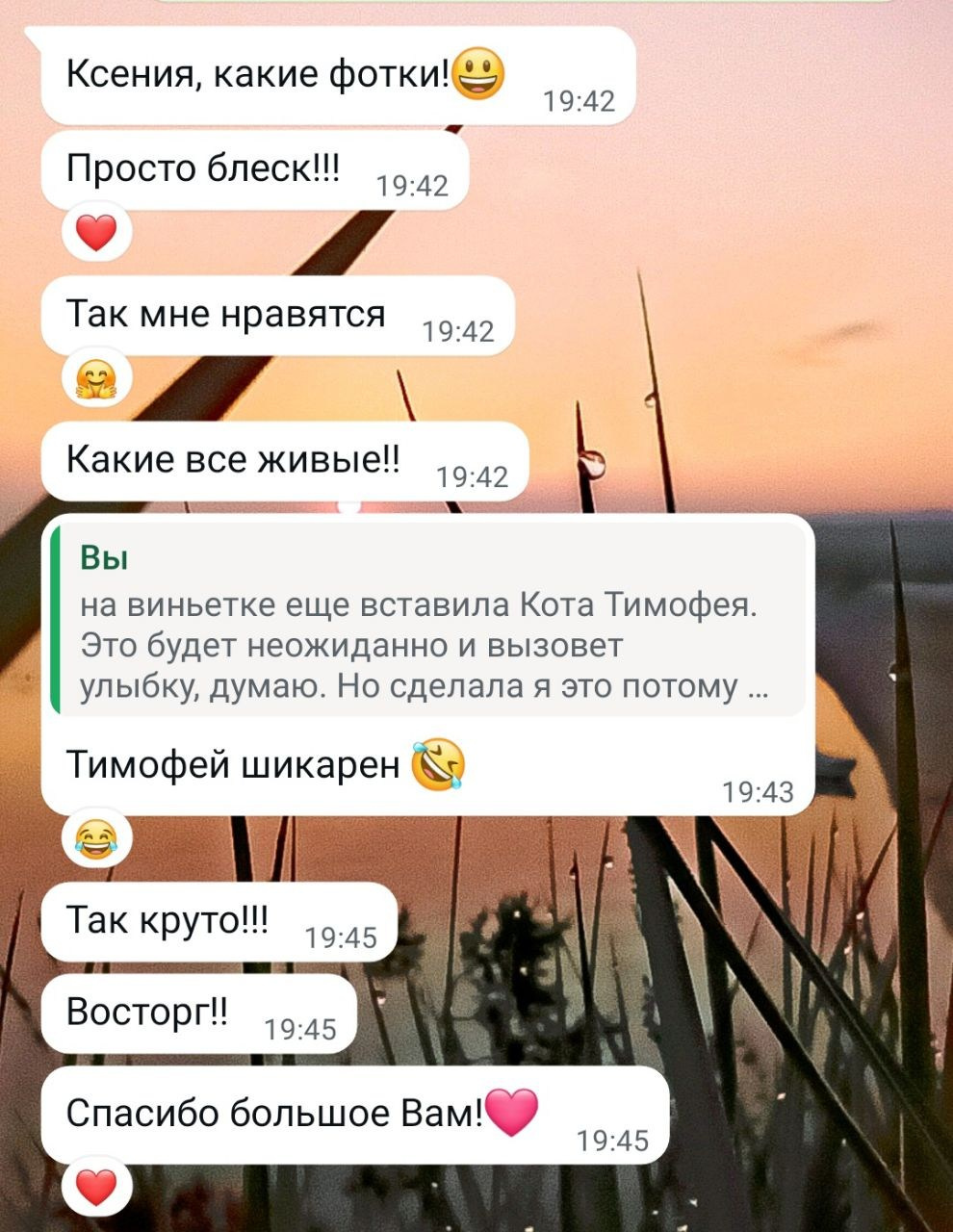 Выпускные альбомы Москва. Семейный и детский фотограф в Москве Тихонова Ксения