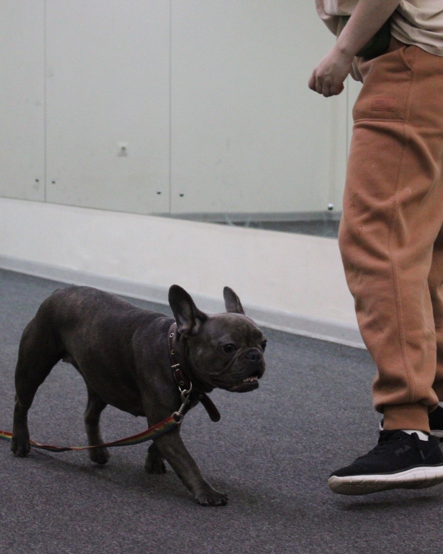 Репортаж УС «ДЦ Ральф». Катя Попова|ЛайфСтайл фотограф