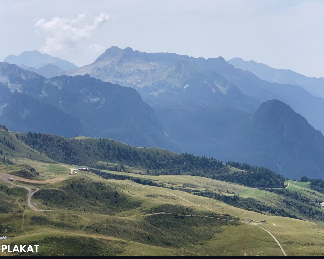 @ilde_lemiecalzetterosa