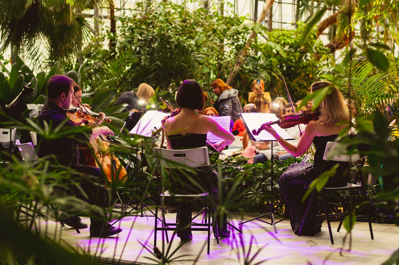 Petro Art — квартет в Таврическом саду (Рок Хиты). EvgenyCraft