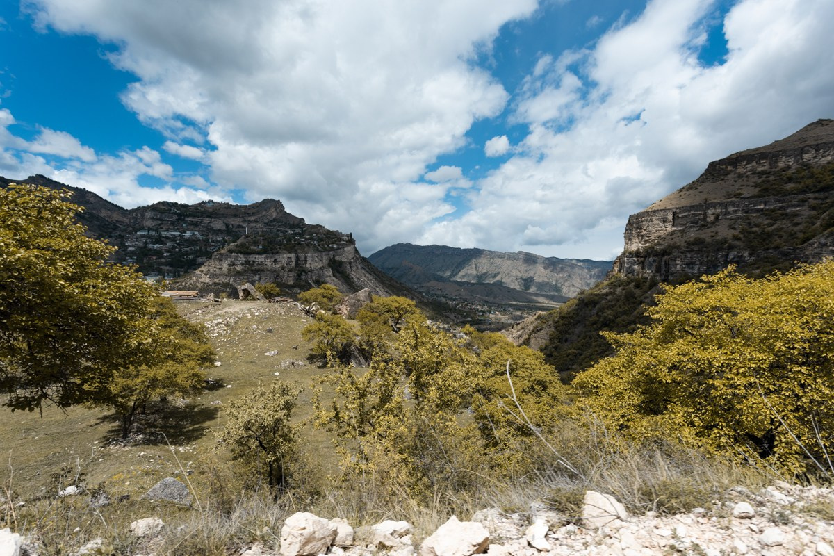 Горы. Photomantis