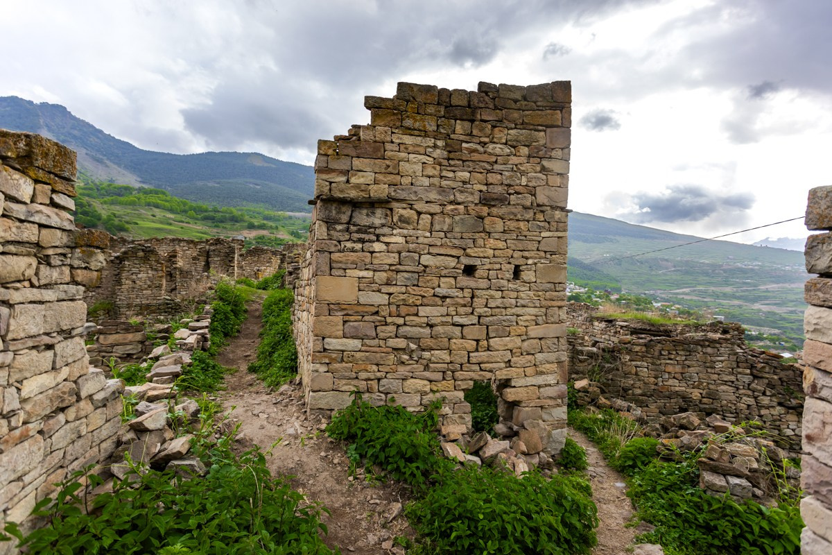 Аул Кахиб. Photomantis