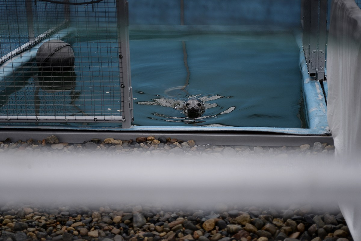 Фотожурналистика. Дарья Пянзина | фотограф |междисциплинарная художница