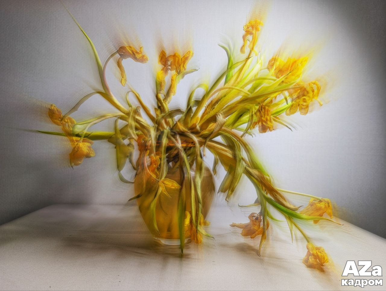 AZакадром Импрессинизм. Женский семейный фотограф Тула Москва Захарова Анна