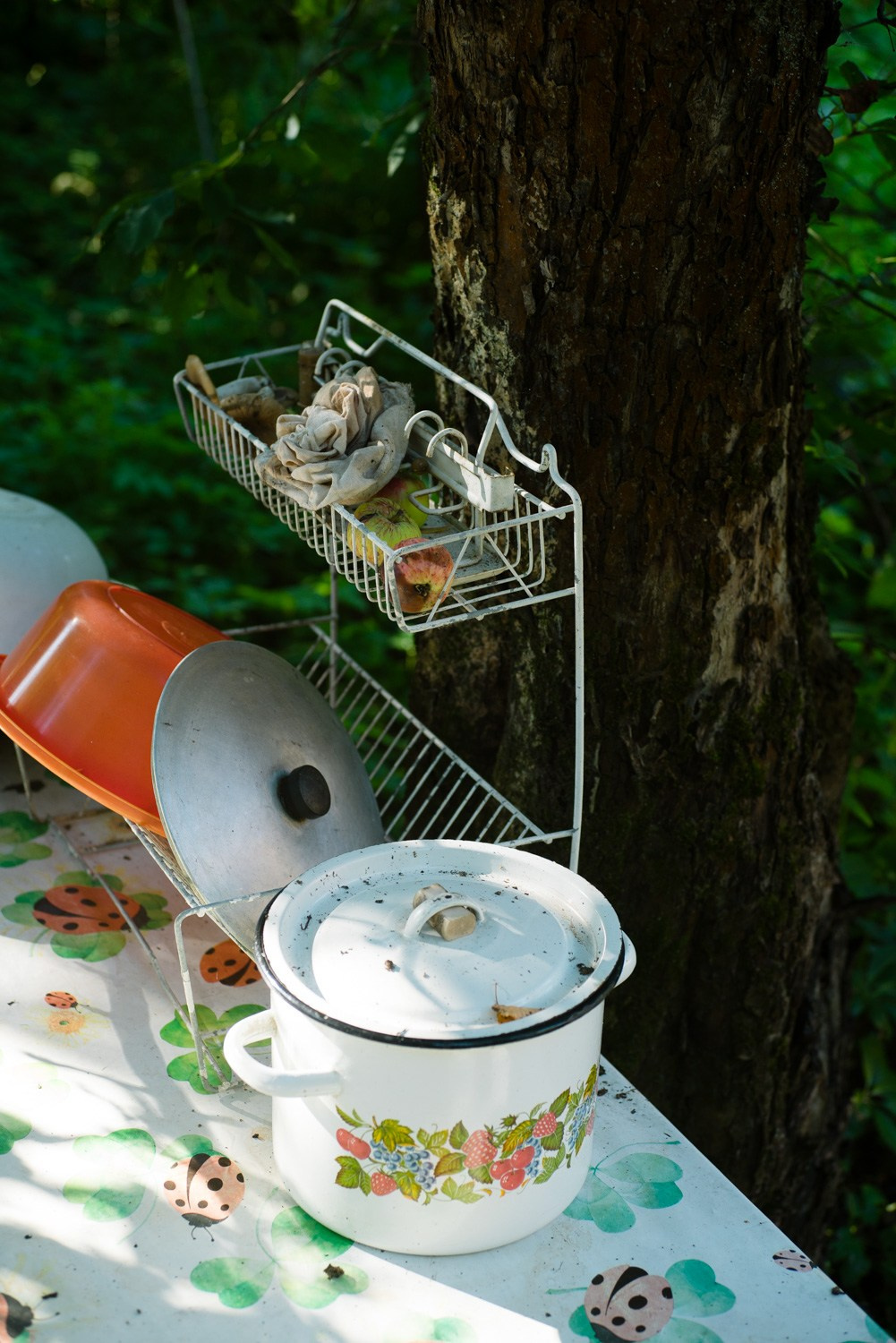 Summer Recurrences. Пётр Антонов