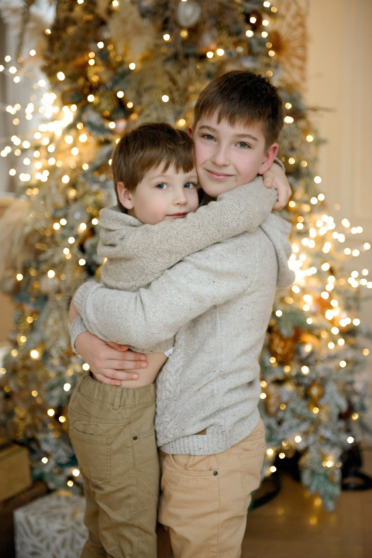 Brothers, two boys, Studio photo shoot at Christmas time