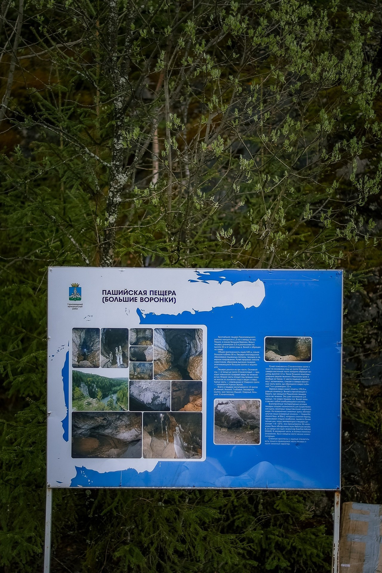 Отзывы. Семейный и детский фотограф в Перми Юдинцева Юлия