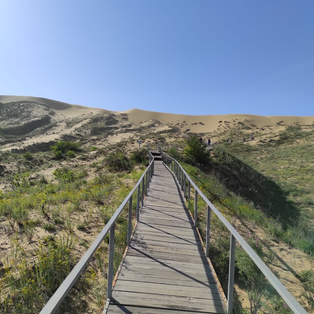 Великолепный Дагестан | 01-03.05.2021. Галерея Фантим