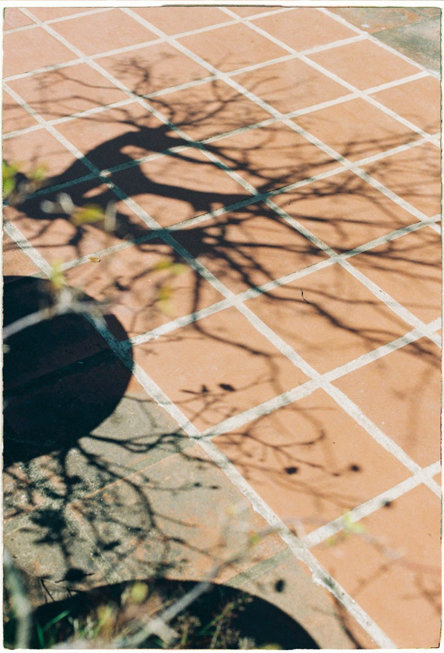 Hoi An. Film Photographer in Da Nang, Vietnam — Tanya Parfenteva