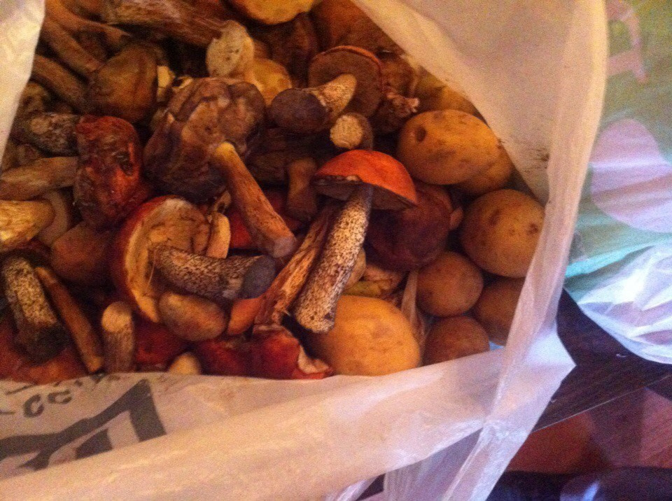 Деревенский выезд 2 | 26-28.08.2016. Галерея Фантим