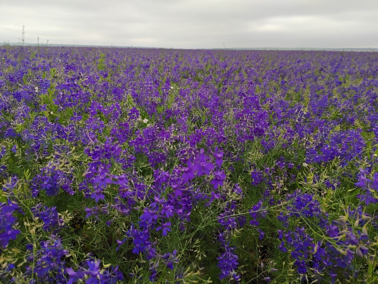 Поход в Гурьевские каменоломни | 21.06.2025. Галерея Фантим