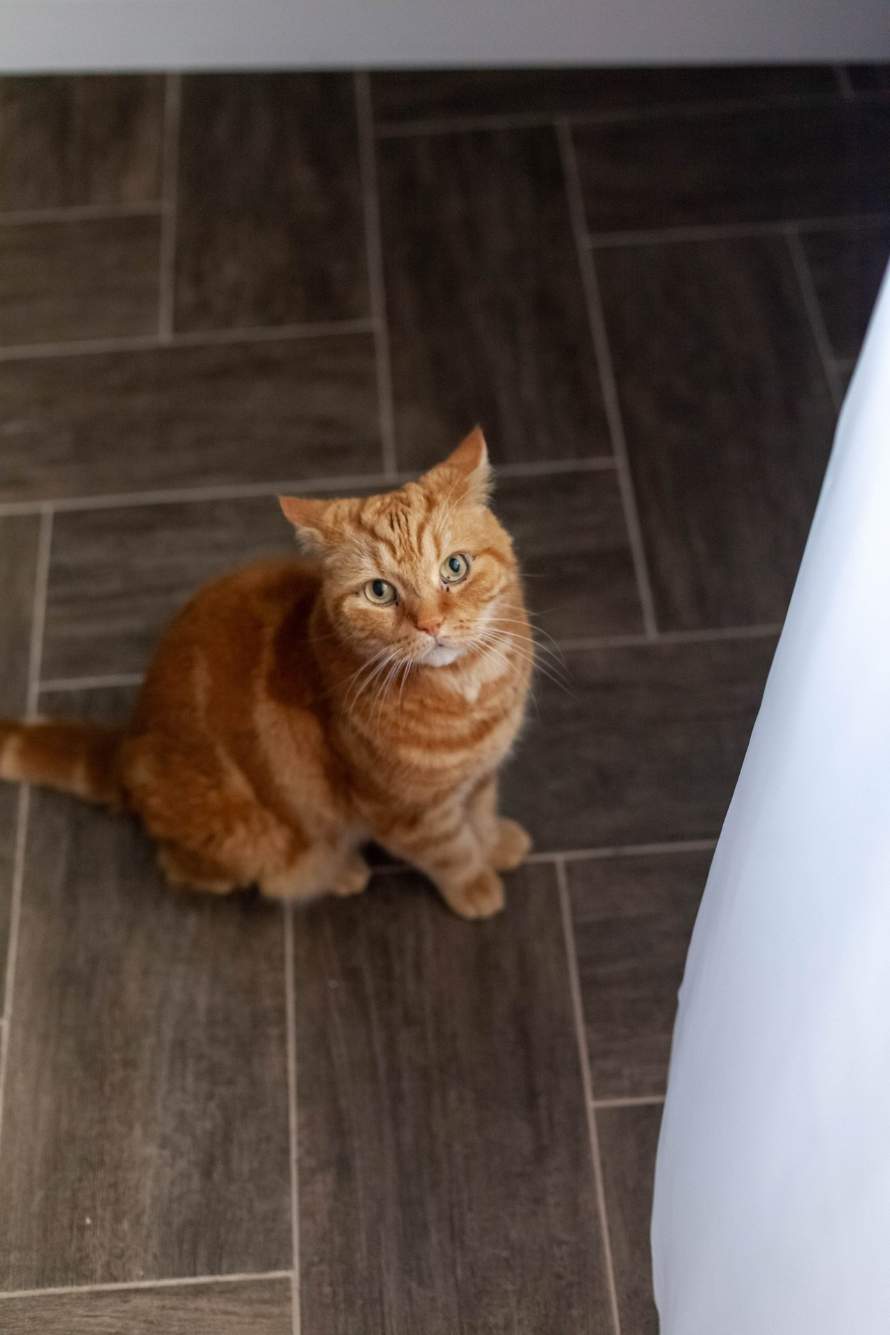 Отзывы. Фотограф Татьяна Воронова, Детские и Семейные фото