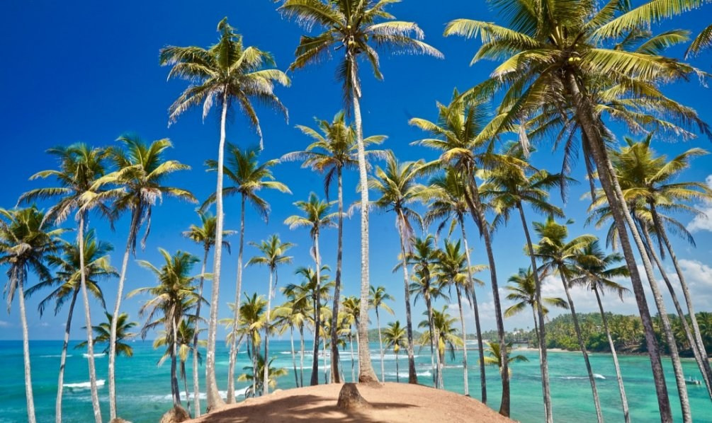 Серф-кэмп шри-ланка 2024. Серф-кэмп на Шри-Ланке