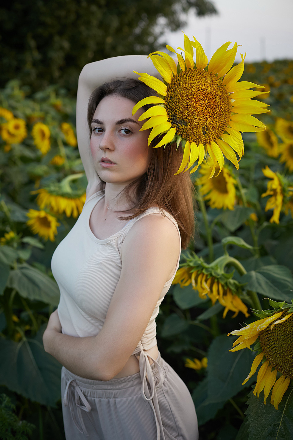 «В подсолнухах». Свадебный и креативный фотограф в ЮФО и МСК