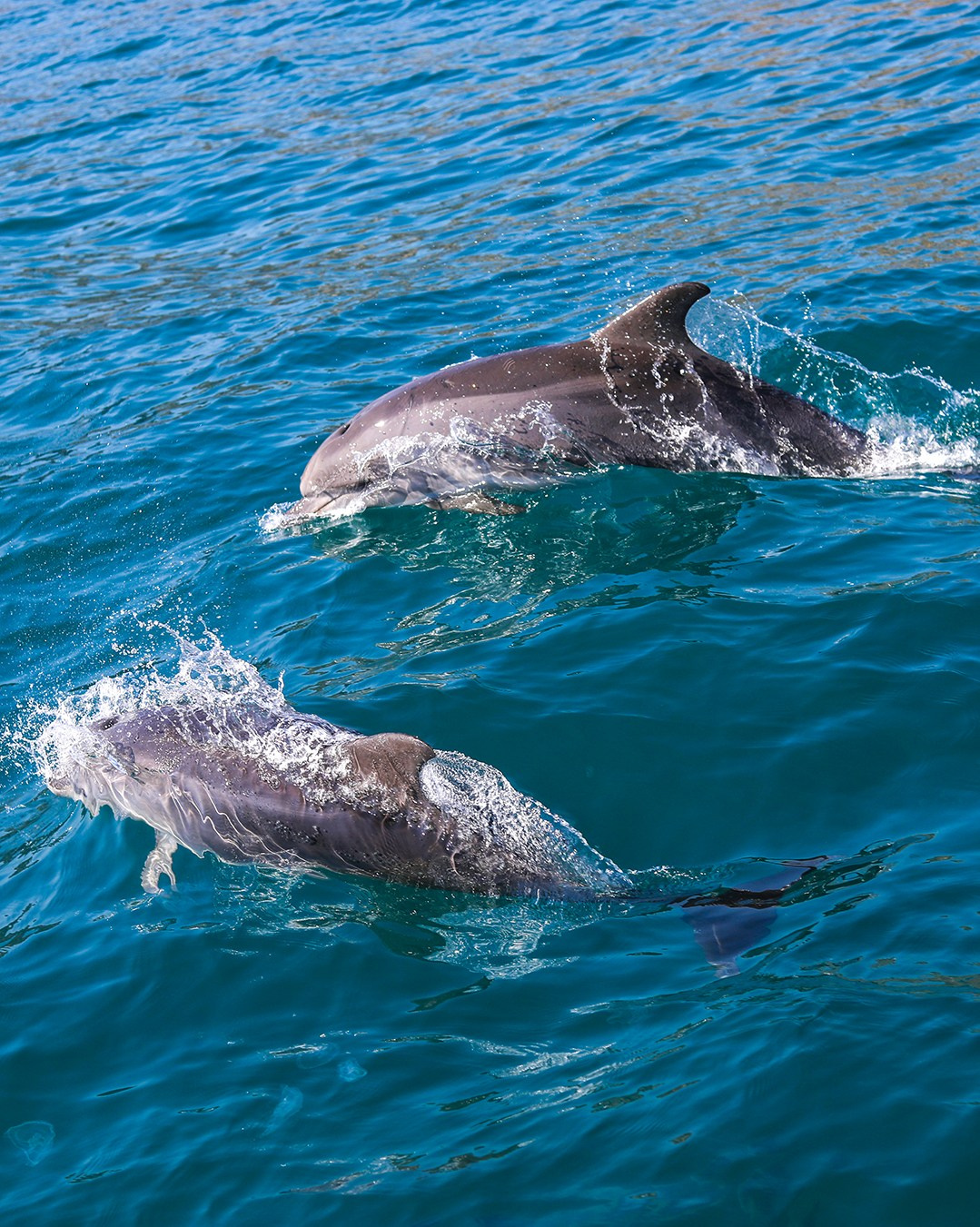 БАЛАКЛАВА. Фотограф Севастополь/Крым Светлана Евтушенко
