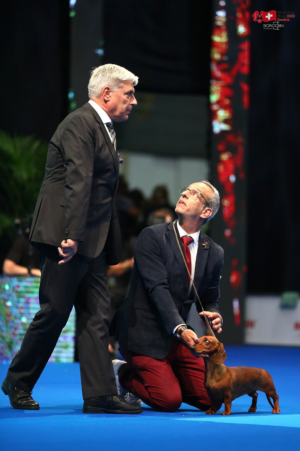 24-27.08.2023 WDS Geneva. Фотограф Дмитрий Бородин