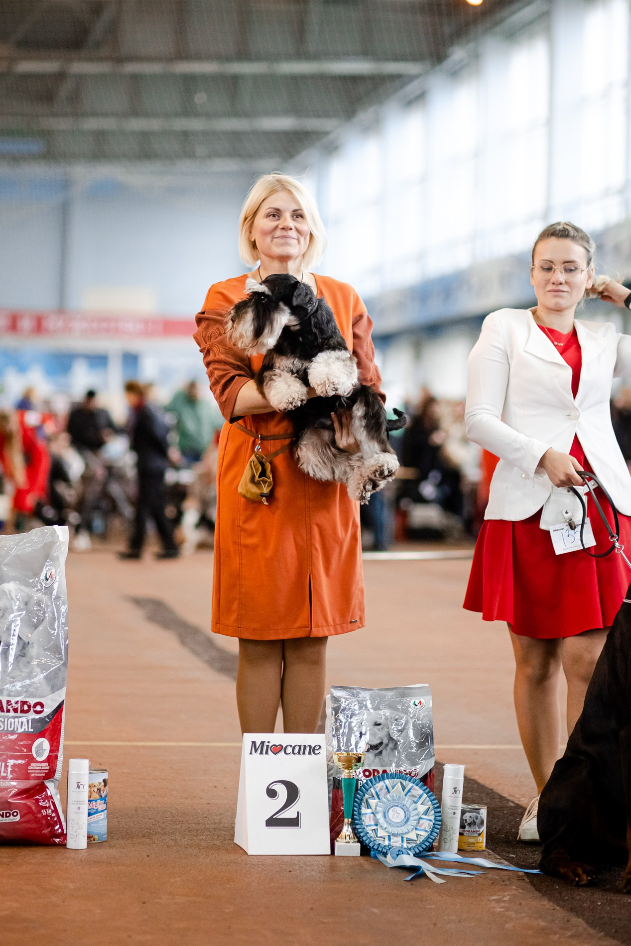 Изар/Delinso Balance Izar Tesoro. Питомник цвергшнауцеров в Беларуси «Делинсо Бэлэнс»