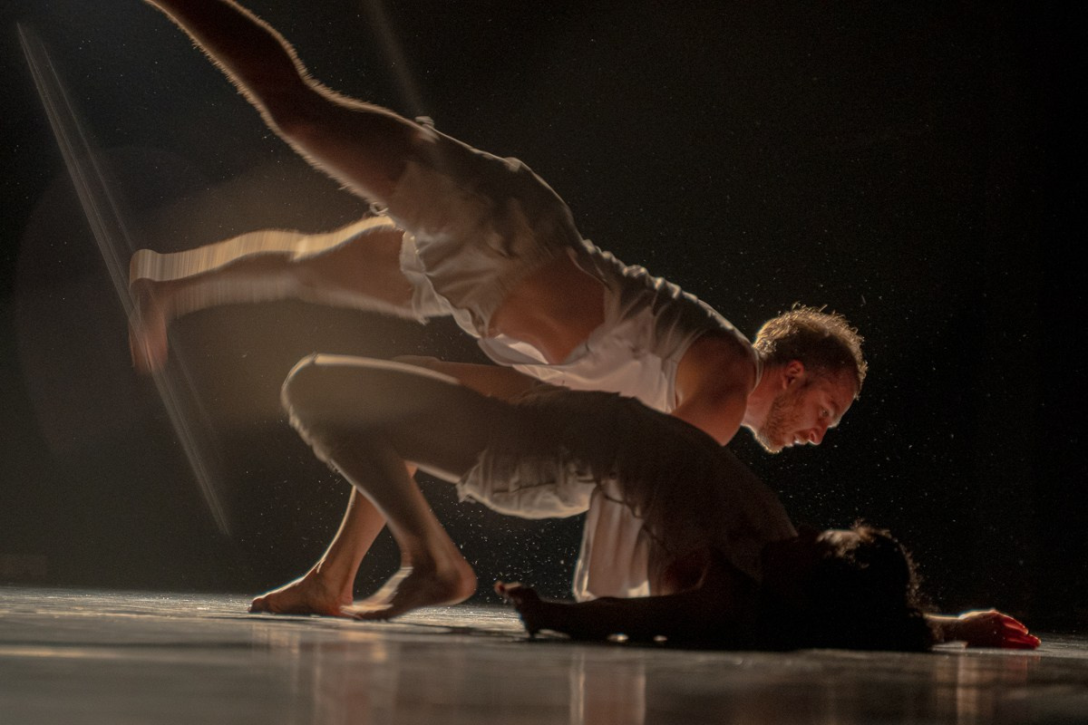 Новофест Фестиваль современного танца. Главная