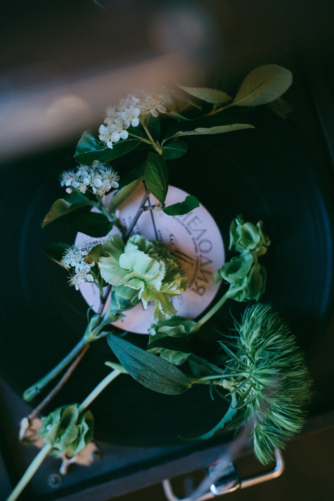 It’s a BOY 💙. Фотограф Нижний Новгород