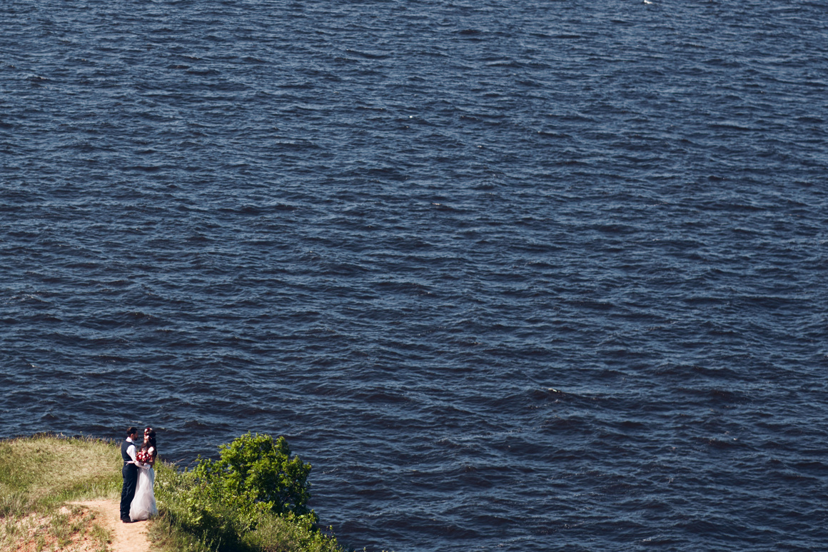 Жених и невеста позируют в красивой локации с деревом и морем