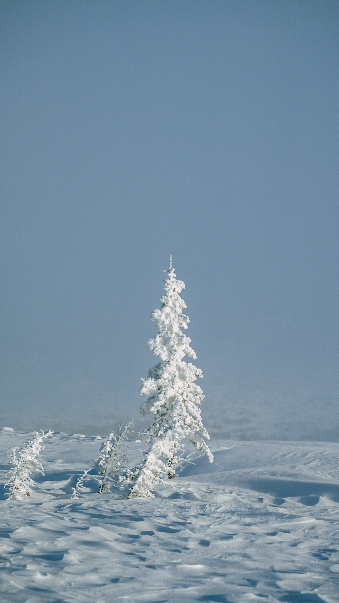 Приисковое. Человек с фотокамерой