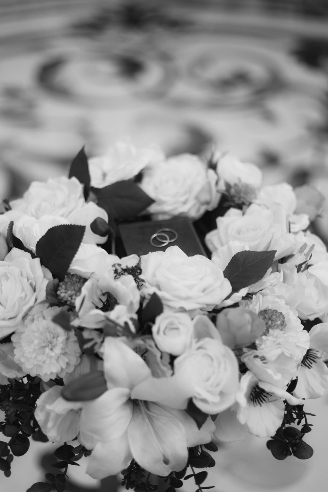 11/10/25. Семейный фотограф Полина Легачева