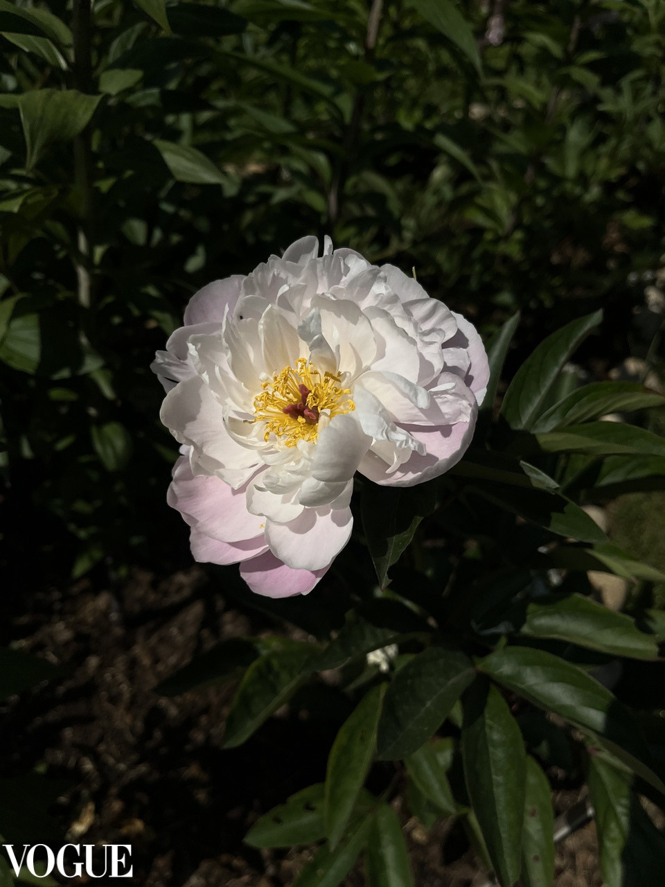 Публикации. Ирина Грязнова — фотограф. Москва