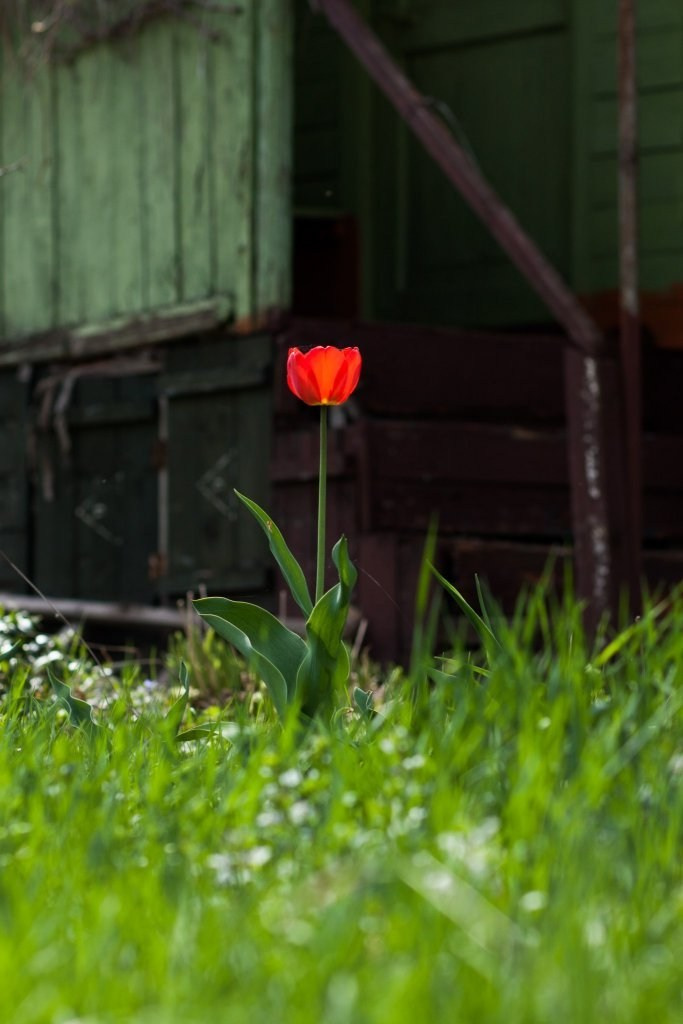 Моменты 2011-2016. Анастасия Либерти