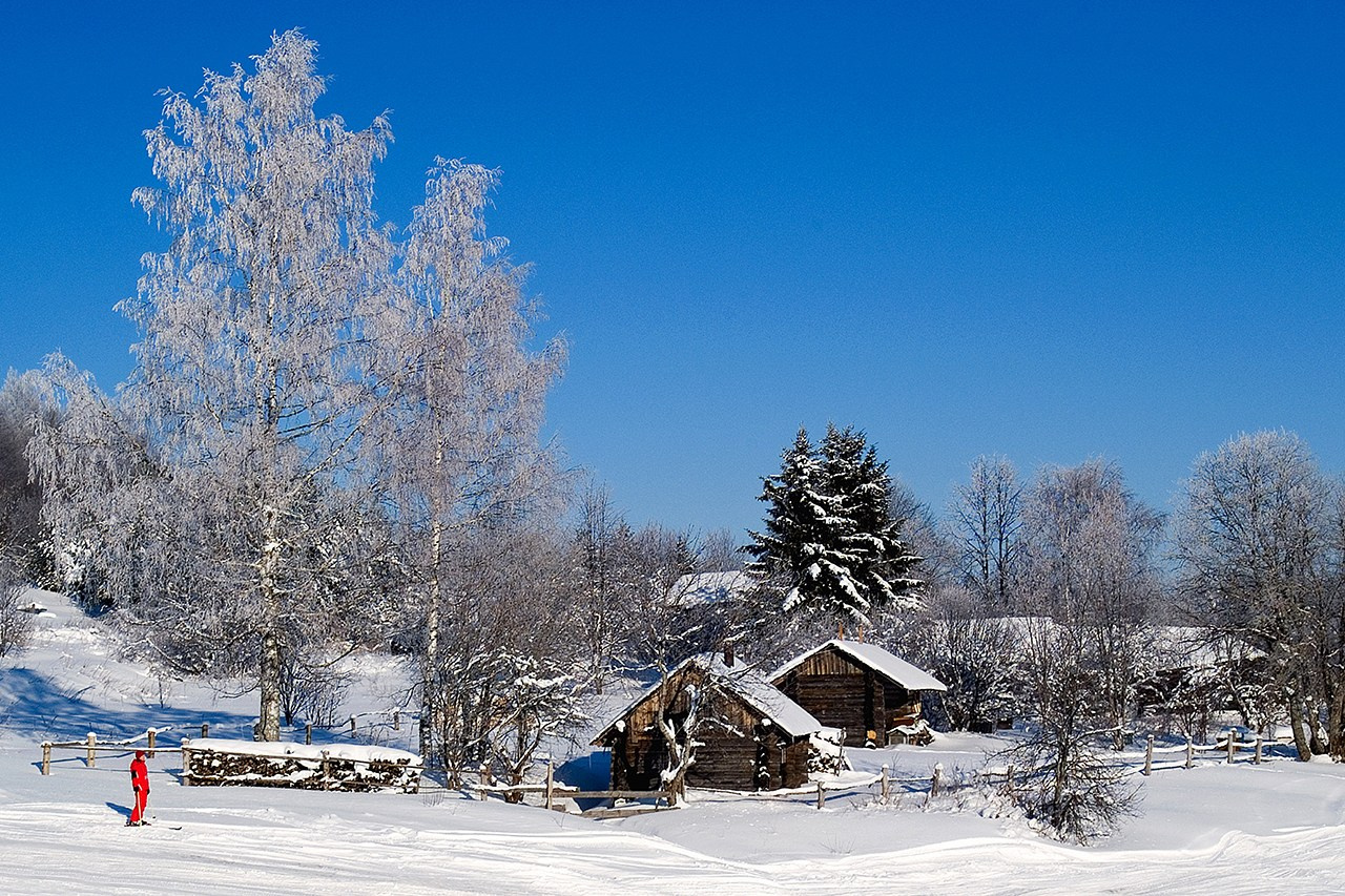 РАЗНОЕ. Андрей Пономарёв