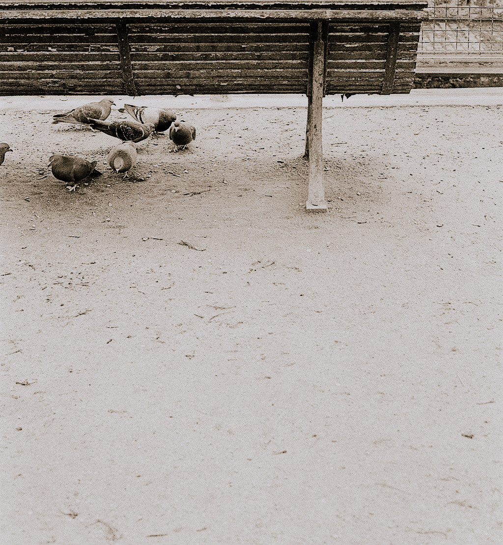 Париж. Фотограф в Москве Гончарова Анастасия