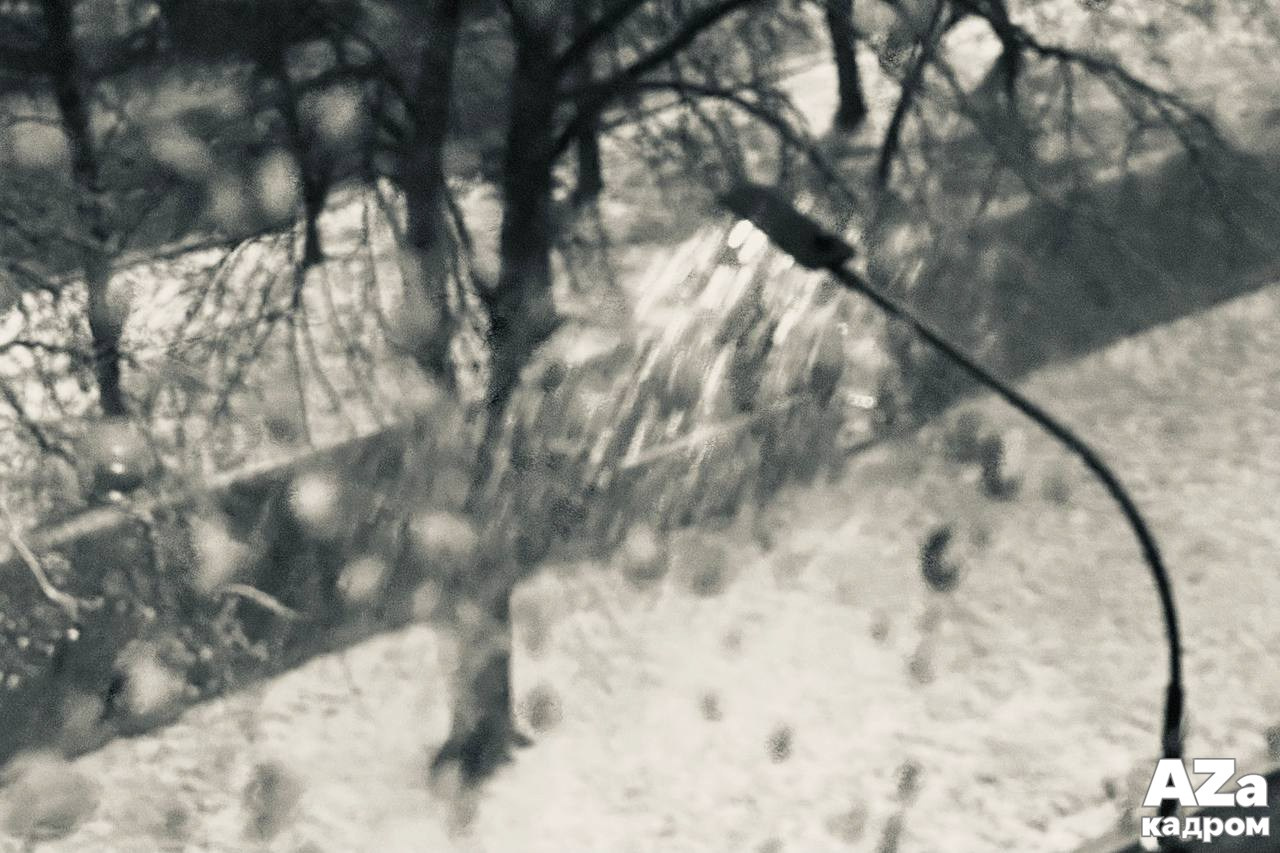 AZакадром «Фотофанты». Женский семейный фотограф Тула Москва Захарова Анна