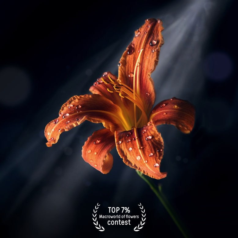 Фотограф Мария Кольцова